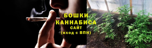 сатива Абаза